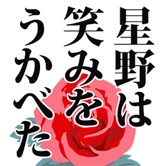 [LINEスタンプ] 星野さん名前ナレーション