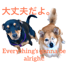 [LINEスタンプ] ラッキーな犬たち：パイパーとプリンセス