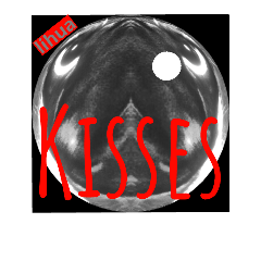 [LINEスタンプ] KISSES stamp of lihua 3