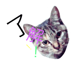 [LINEスタンプ] ひじき！！
