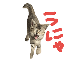 [LINEスタンプ] むぎたんの日常