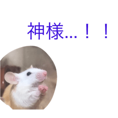 [LINEスタンプ] 我が家のパンダマウス ⑤