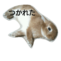[LINEスタンプ] うちのえいと