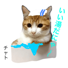 [LINEスタンプ] 猫夢堂の猫さん達