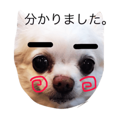 [LINEスタンプ] MY SWEET ANGEL'S