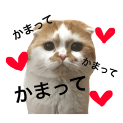 [LINEスタンプ] うちのキングさん♡
