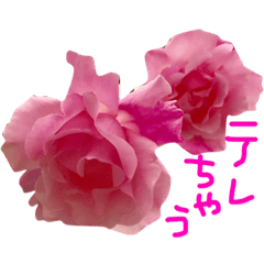 [LINEスタンプ] 花のテレくさいけどゆっちゃうシリーズ 