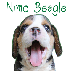 [LINEスタンプ] Nimo Beagle