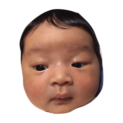 [LINEスタンプ] pochamaru