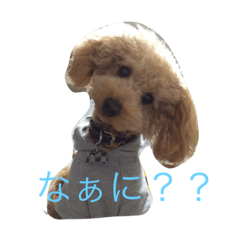 [LINEスタンプ] ルナサラホコ