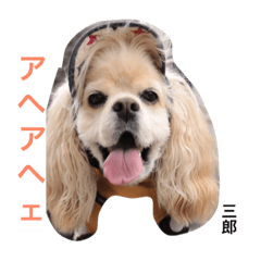 [LINEスタンプ] チビサブ兄弟