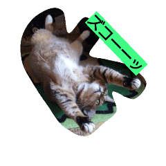 [LINEスタンプ] 普段使いやすい言葉でまとめました。