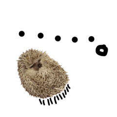 [LINEスタンプ] ハリネズミのみたらし 