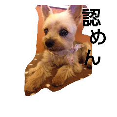 [LINEスタンプ] wanwanland