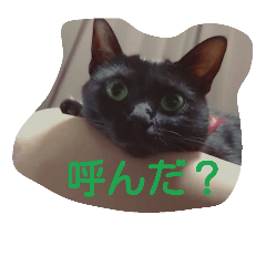 [LINEスタンプ] ナナナナナナ！